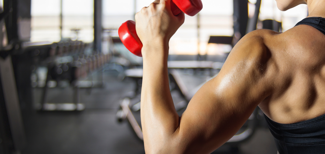 冠軍蛋白Champrotein一包28g蛋白質